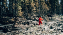 Huge forest fires are finish much of Quebec in haze and smoke