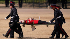 Several British soldiers faint from sweltering heat at Prince William military parade