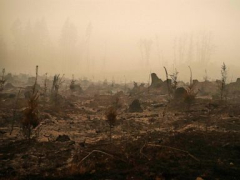 PacifiCorp might be on the hook for billions after jury decision in ravaging Oregon wildfires
