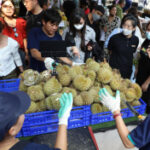 Durian fans rejoice as rates plunge on surplus