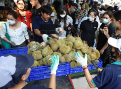 Durian fans rejoice as rates plunge on surplus