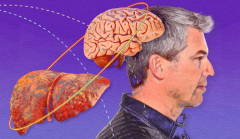 Persistent liver illness can impact brain health