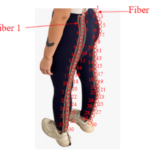 Fiber optic wise pants display motion at a low expense