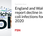 இங்கிலாந்து மற்றும் வேல்ஸ் 2020 ஆம் ஆண்டிற்கான ஈ.கோலி நோய்த்தொற்றுகள் குறைந்துள்ளதாக தெரிவிக்கின்றன