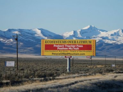 Conservationists and people desire UnitedStates appeals court to block Biden-backed Nevada lithium mine