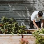Grow Your Own Nutrient-Rich Garden