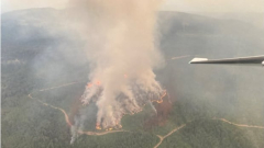 Evacuation orders, notifies provided for homes south of Smithers, B.C., due to wildfire