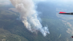 Evacuation orders provided for numerous areas in northern B.C. as hundreds of wildfires burn