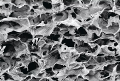 Cancer immunotherapy gets a increase from brand-new biomaterial