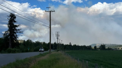 Wildfire near Cranbrook, B.C., more than doubles in size in 24 hours
