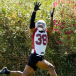 Cardinals training camp lineup sneakpeek: WR Brian Cobbs