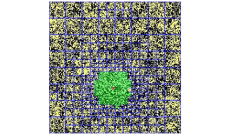 Advancement attained in Monte Carlo computersystem simulations