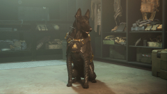 Warzone 2 and Modern Warfare 2 are including canine buddies and I guess I have to play Call of Duty now