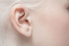 A brand-new researchstudy discovers the possible cause of inner-ear bone loss