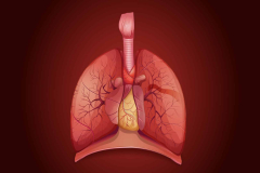 Thymus gland plays crucial function in adult health, researchstudy discovers