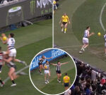 AFL world appears over farcical umpiring scenes: ‘Absolute joke’