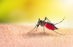 Targeting mosquito hearing with insecticides