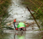 Dark, foul-smelling and ‘completely bonkers’: Welcome to the world of bog snorkeling