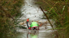 Dark, foul-smelling and ‘completely bonkers’: Welcome to the world of bog snorkeling