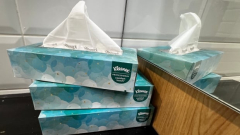 B.C. Supreme Court partially certifies personal injury class-action lawsuit against Kleenex manufacturer