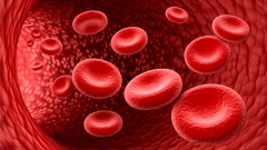 Lowered oxygen directexposure reinforces red blood cells versus heart attacks