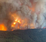 Parts of Canada might see wildfires through winterseason, federal projection states
