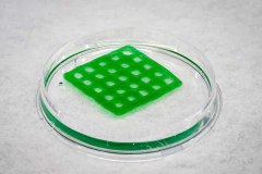 3D-printed living product might tidy contaminated water