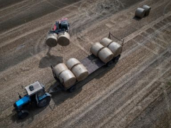 EU dealswith duedate on extending Ukrainian grain restriction as nations threaten to pass their own