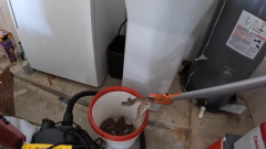 Video reveals 20 rattlesnakes being pulled out of Arizona guy’s garage: ‘This is insane’