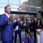 California Gov. Gavin Newsom states he will indication climate-focused openness laws for huge service