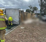 Truck bring thousands of chickens rolls near Brisbane