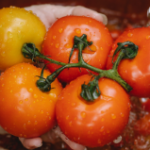 Tomatoes: From History to Health Benefits
