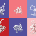 Forecasting pathogenic protein variations | Science