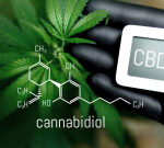 Your body’s cannabinoids calm you throughout tension