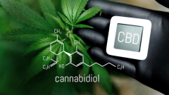 Your body’s cannabinoids calm you throughout tension