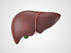 Protein-causing liver damage might be a brand-new focus for treatment