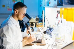 Münster University’s researchstudy of nanomachines in peroxisomal procedures