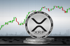 1 Million XRP Coins Acquired at $0.005 Per XRP in 2014, Ripple CTO Reveals Remarkable XRP Purchase