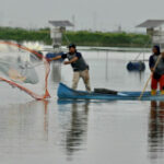 Break-ins at sea: Shrimp outlaws terrorise Ecuador farmers