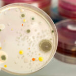 MRSA and superbugs face defeat with distinct vaccine