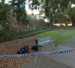 Youngboy, 16, charged with stabbing another youngboy in Kelvin Grove park