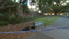 Youngboy, 16, charged with stabbing another youngboy in Kelvin Grove park