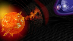 Biggest ever solar storm in tree rings determined