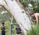 Teenagers charged over $15m Woolies blaze