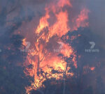 Firemens fight roaring bushfires at Perth’s Kings Park