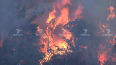 Firemens fight roaring bushfires at Perth’s Kings Park
