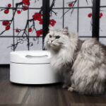 This clever animal feeder is cooled for those who ruin their furry pals