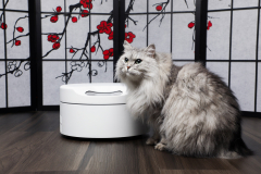 This clever animal feeder is cooled for those who ruin their furry pals