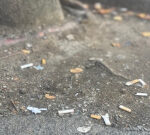 Cigarette butts stay Vancouver’s most cluttered product — and a apparently unsolvable waste issue