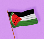 Why People Are Using the Watermelon Emoji in Social Posts About Palestine